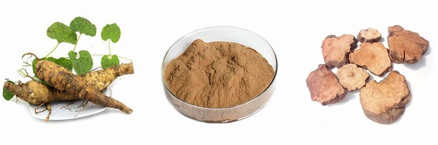 Polygonum Multiflorum Extract Powder