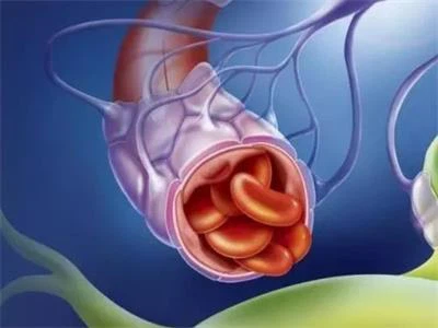 Bloodlipid-loweringeffect Bloodlipid-loweringeffect