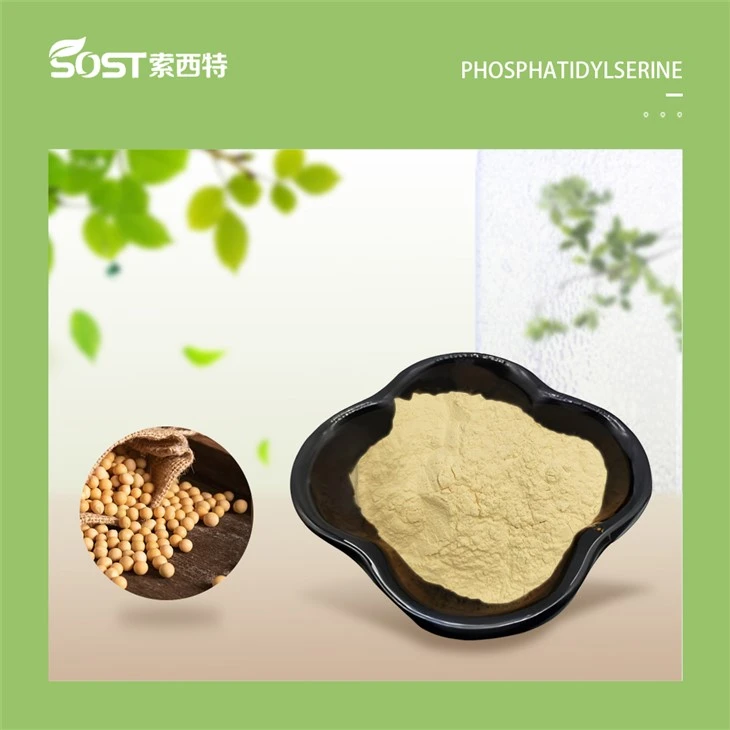 Health Phosphatidylserine Powder