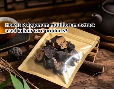 Como o extrato de Polygonum multiflorum é usado em produtos para os cabelos?