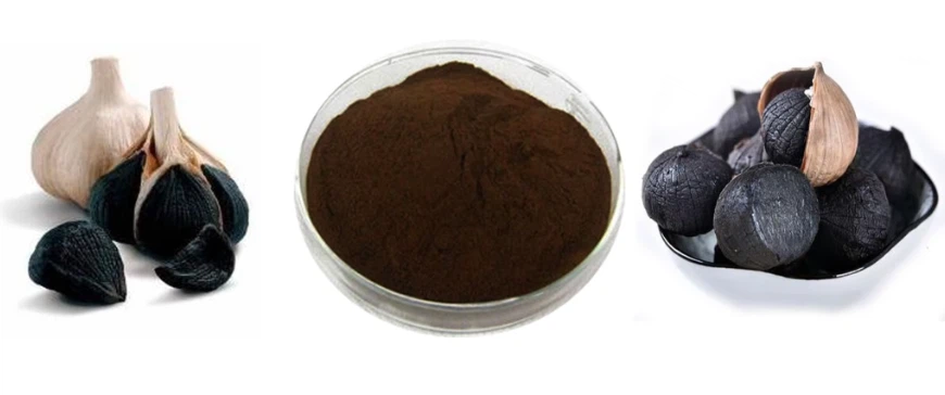 black garlic powder factory black garlic powder factory