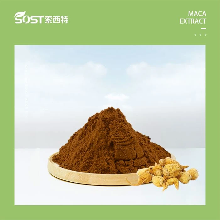 Extrato de Maca em Pó